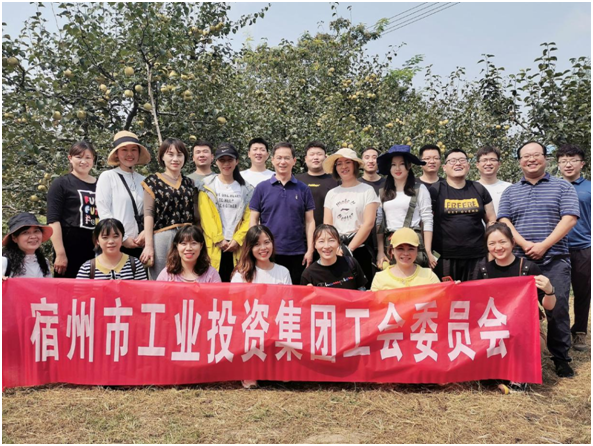 砀山采摘.png